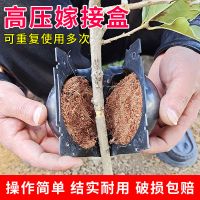 植物高压盒扦插嫁接生盒高空压条生杯无性繁殖控器花盆