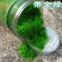 绿植仿真苔藓罐装40g尼龙青藓草粉diy假山造景创意草沫装饰人造草