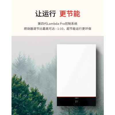 菲斯曼进口冷凝两用炉25KW