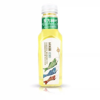 农夫山泉东方树叶玄米茶(无糖)500ml