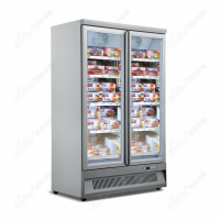 西科二门冷冻柜