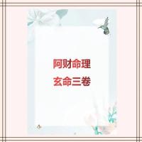 阿财命理 玄命三卷 上卷中卷下卷共347页 实体书