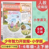 少年智力开发报小学语文123456年级上下册人教部编版期末总复习
