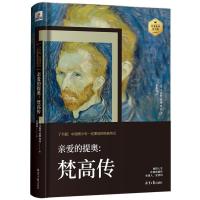 亲爱的提奥-梵高传 名人传记书籍经典人物传记书籍名人历史