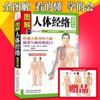 正版图解人体经络使用手册送艾灸刮痧标准人体穴位大图按