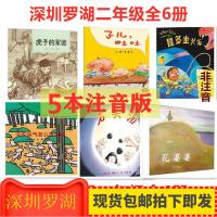 平装注音深圳市罗湖区二年级课外阅读书必读虎子的军团提多做火车