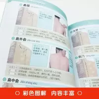 准确找穴按摩速查 人体经络穴位图解书中医推拿按摩取穴技巧入门