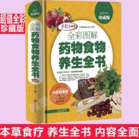 彩色图解药物食物养生全书 中华食物养生中药食疗保健百科书