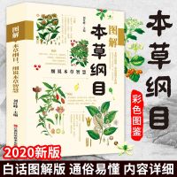 [全彩图解]本草纲目正版李时珍 图解本草纲目细说 彩图版白话