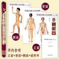 人体经络穴位图海报图足腿部经穴与反射区标准挂图传统经络穴位图
