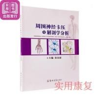 全新 周围神经卡压与解剖学分析 徐高磊
