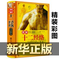 [硬皮彩图送书签]图解十二经络养生书穴位按摩大全人体经络穴位