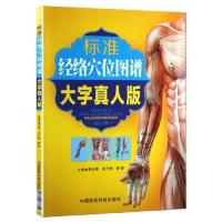 标准经络穴位图谱(大字真人版) 当当