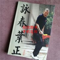 咏春叶正 叶问之子叶正传咏春拳小念头寻桥标指六点半棍法八斩刀