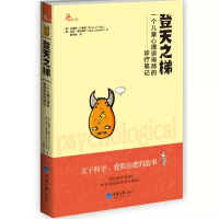 全新正版 登天之梯 一个儿童心理咨询师的诊疗笔记 心理医生书