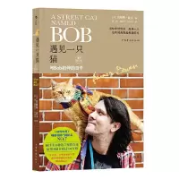 HL 遇见一只猫:与Bob相伴的日子