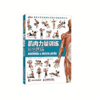 肌肉力量训练彩色图谱 拉伸训练书 体育学 健身书籍练肌肉