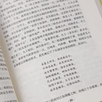 吴三桂传 历史人物传记 叙写一代枭雄吴三桂于乱世中叱咤风云