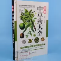 图解中草药大全 彩图版中药材书 中医入门中草药书 中草药野