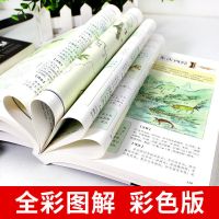 山海经正版全套 彩图版异兽录完整版 大全集上古三大奇书百科全书