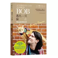 HL 遇见一只猫:与Bob相伴的日子