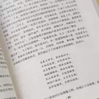 吴三桂传 历史人物传记 叙写一代枭雄吴三桂于乱世中叱咤风云