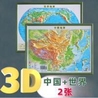 全新中国地形图世界地形3D凹凸立体地形图22cm*29c