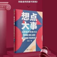 平装正版 想点大事 刘晗新书 每个人的法律通识书 罗辑思维逻辑