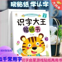 汉字贴纸书儿童识字大王3-4-6岁幼儿园大班益智游戏学前宝宝认字