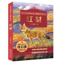 沈石溪动物小说全套4册狼国女王红豺五彩龙鸟雪域豹影多规格可选