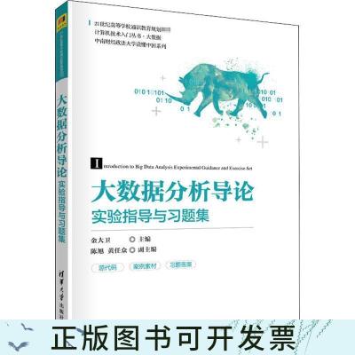 正版大数据分析导论实验指导与习题集(21世纪高等学校通识教育规