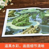 疯狂星期二精装硬壳儿童绘本美国凯迪克大奖小学生阅读经典读物