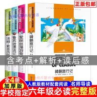 骑鹅旅行记汤姆索亚历险记爱丽丝漫游奇境鲁滨逊漂流记六年级必读