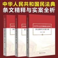 中华人民共和国民法典条文精释与实案全析上中下 杨立新