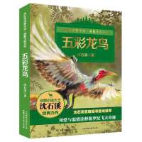 乐恩沈石溪动物小说全套4册狼国女王红豺五彩龙鸟雪域豹影多规格