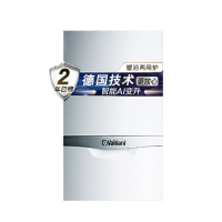 24KW 两用炉(pro款)L1PB27-VUW 242/5-3 (H-CN)