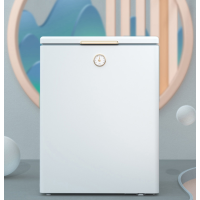 (当天发货包入户)美的的(Midea)142升 家用母婴冰柜冷藏冷冻转换 节能低音BD/BC-142KMT(E)