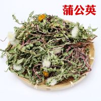 野生 蒲公英 花茶 带根 新货 蒲公英茶 干 整颗婆婆丁 500克