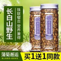 买1送1蒲公英玉兰根茶长白山野生菊苣根茶带根干的天然