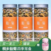 买1发3胎菊花茶桐乡罐装杭白菊胖大海菊花茶配枸杞子金银花火茶清