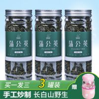 买1发3蒲公英茶浦公英薄公英带根婆婆丁根茶长白山茶叶罐装花草茶