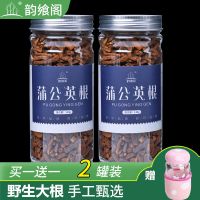 买1送1蒲公英根茶野生长白山白鼓丁根谷谷丁根花苗蒲公英茶消茶