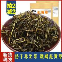 四川古蔺赶草护肝茶赶草叶养生茶叶赶草喝的养生茶500g50g
