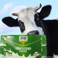 蒙牛消健益生菌原味酸牛奶100g*8