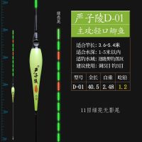 严子陵夜光漂高灵敏水无影鲫鱼电子漂超亮醒目纳米变色浮漂绿尾 严子陵D-01 轻口鲫鱼 吃铅1.2 [绿亮尾]不变色两支+