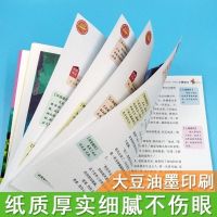 小鹿斑比注音版小学生二年级三年级四五六年级课外阅读书儿童读物 小鹿斑比 彩图注音版[带读后感 共119页]