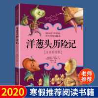 洋葱头历险记 注音彩绘版 8-9岁1-2年级小学低年级课外阅读儿童文 默认