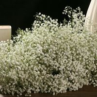 云南天然满天星干花花束客厅卧室插花摆设装饰教师节礼物盒冷链 白色 满天星 半斤(半干)10支左右50公分长