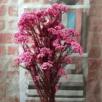 永生花小米花干花花束森系客厅家居装饰摆设拍摄道具diy花材 永生小米花[深粉]