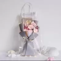满天星天然干花束永生花皂花玫瑰送女朋友生日礼物毕业520花束 [粉康乃馨+粉皂玫瑰]+灯+透明袋